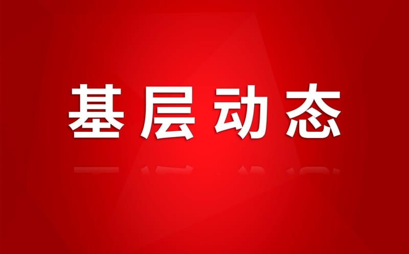 深学八项规定精神 笃行实干筑牢根基 | 兴川资管党支部开展主题党日活动?