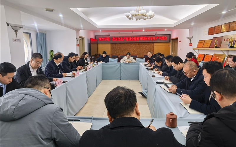 严守安全防线，，，，，，，，平安喜迎新年——测绘公司召开2026年第一次安委会暨春节期间安全生产专题会