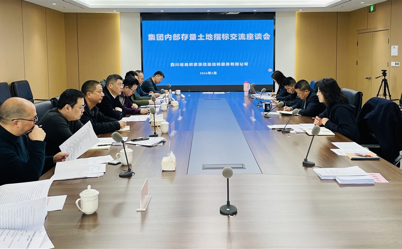 锚定战略协同，，，，，，激活存量价值——流转服务公司召开集团内部存量土地指标交流座谈会