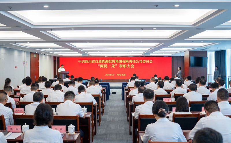 集团党委召开“两优一先”表彰大会