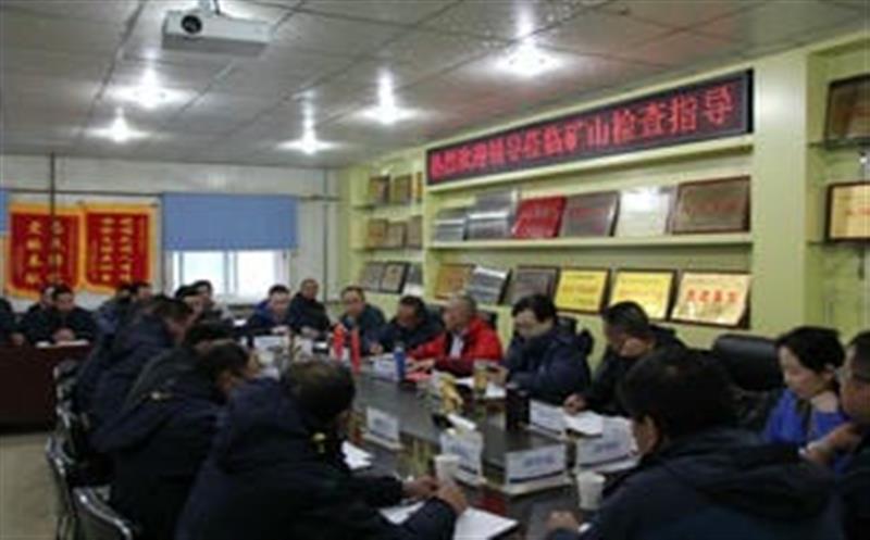 李仕荣一行到松树南沟金矿检查指导工作并考察周边南宫ng28相信品牌力量情况