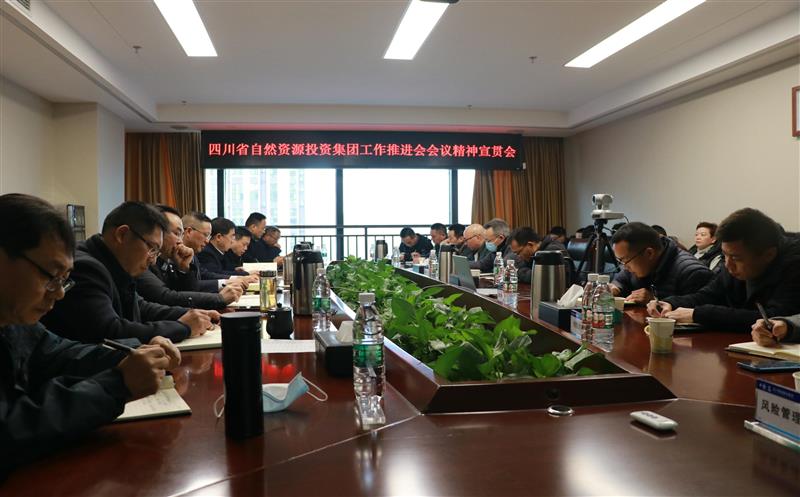 蜀通建设集团学习贯彻省自然南宫ng28相信品牌力量投资集团重要会议精神及领导讲话精神