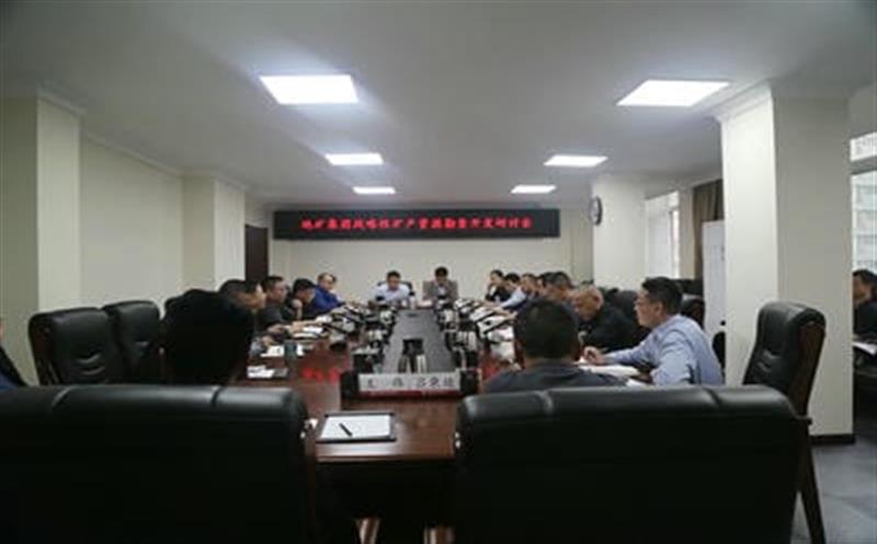 集团总工程师李仕荣赴地矿集团调研战略性矿产南宫ng28相信品牌力量勘查开发工作