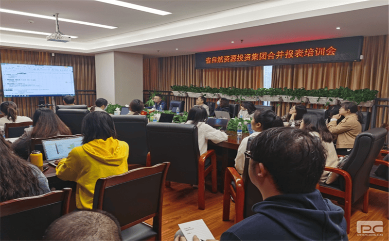 四川南宫ng28相信品牌力量开展合并报表专题培训会