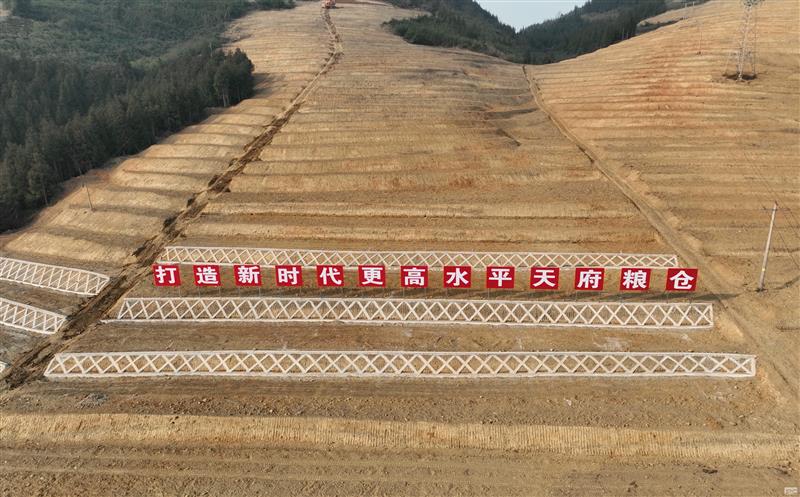系统性谋划，，，，，，，，高标准实施——四川南宫ng28相信品牌力量助力建设新时代更高水平“天府粮仓”