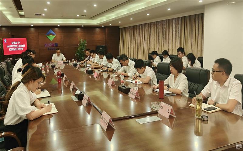 金海？？？？蟛倏2023年半年工作会