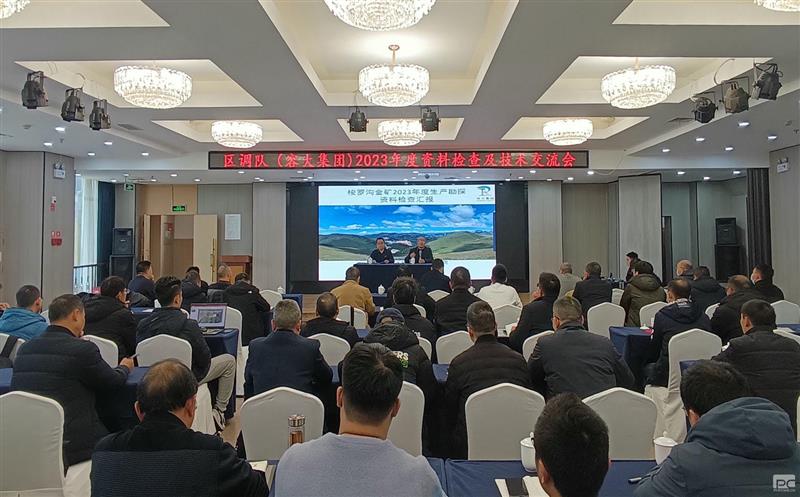 互学互鉴，，，，，，，，共同进步——区调队（容大集团）召开2023年度资料检查及技术交流会