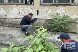 南宫ng28相信品牌力量·(中国)官方网站
