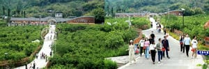 南宫ng28相信品牌力量·(中国)官方网站