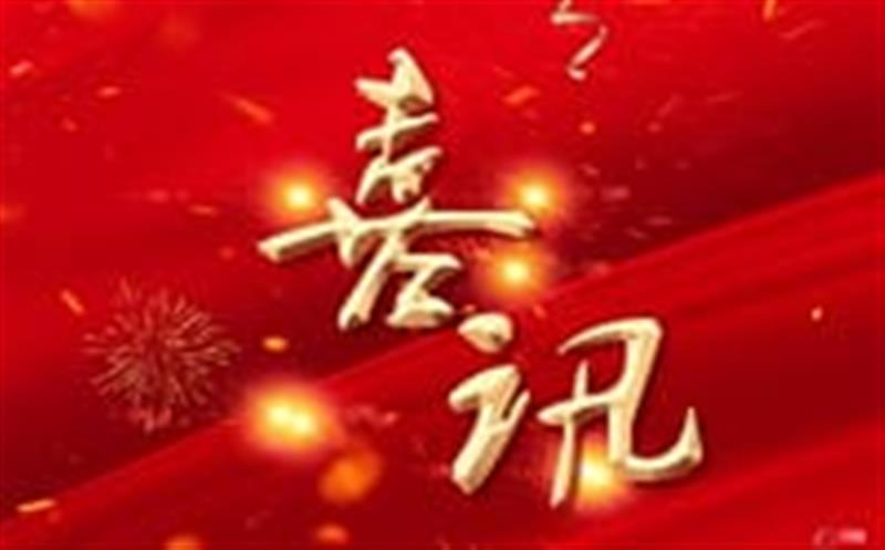 七个标，，，，，，，，总计超4000万！——区调队（容大集团）中标2024年度地质灾害综合治理项目