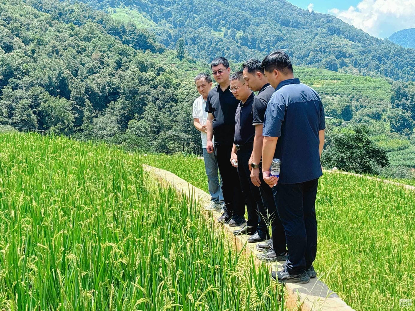 土地集团与核西南院到盐边县作坊村土地整治项目检查指导