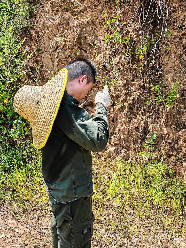 南宫ng28相信品牌力量·(中国)官方网站