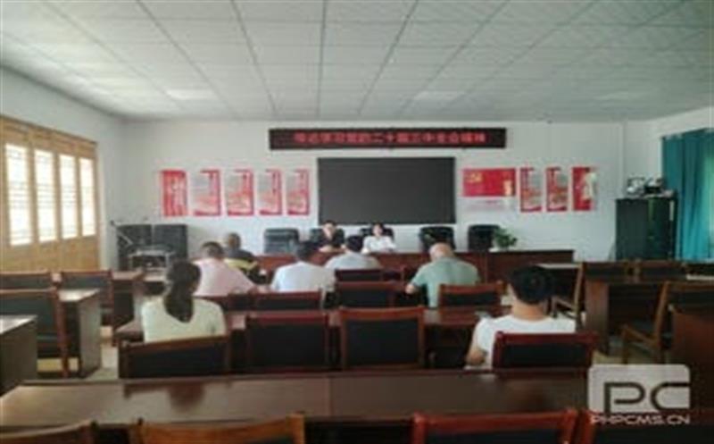 学习党的二十届三中全会精神，，，，，，，，华锋钻探助力乡村振兴新征程