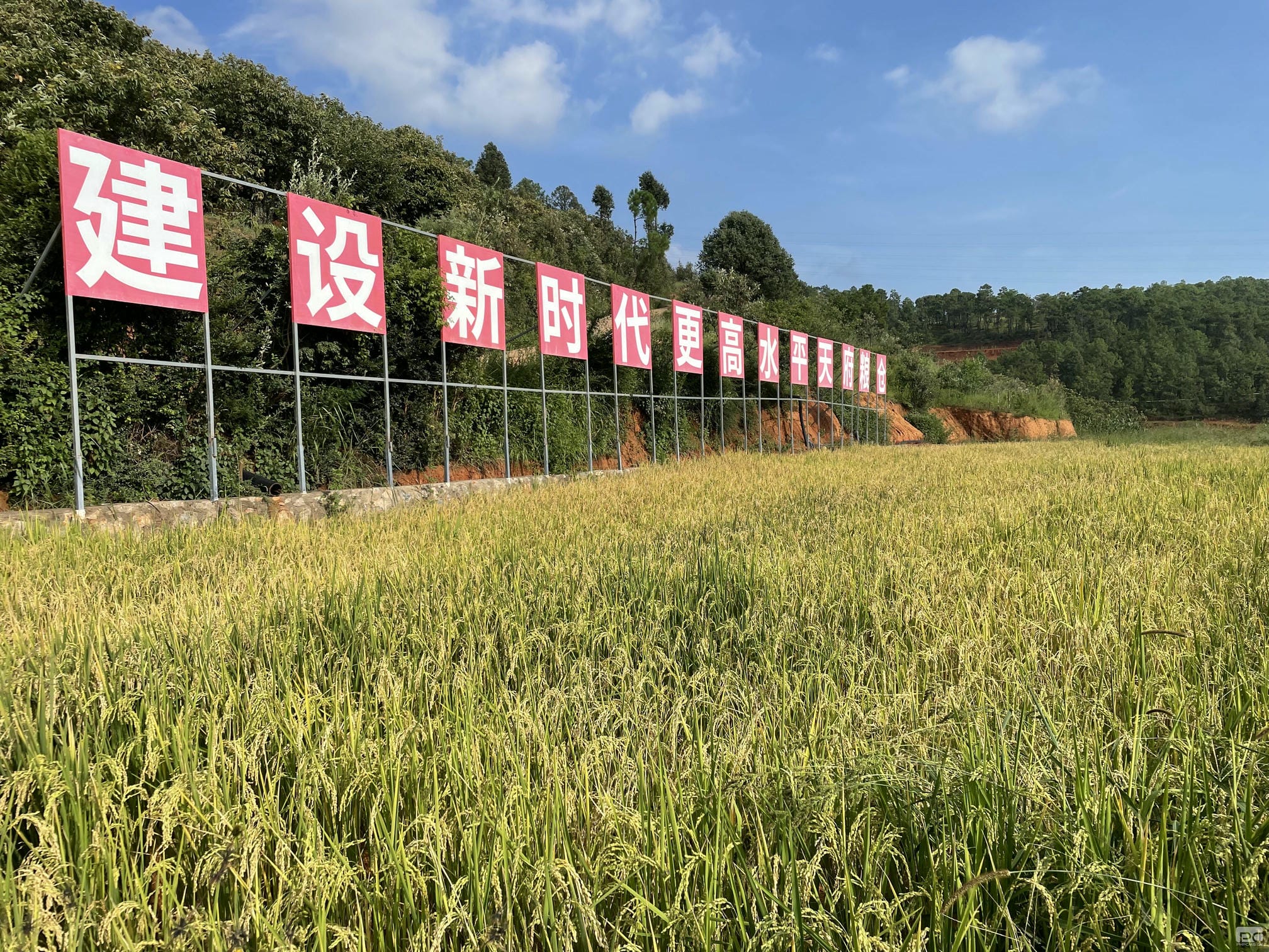 南宫ng28相信品牌力量·(中国)官方网站