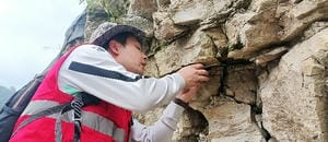南宫ng28相信品牌力量·(中国)官方网站