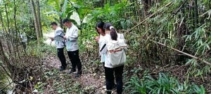 南宫ng28相信品牌力量·(中国)官方网站