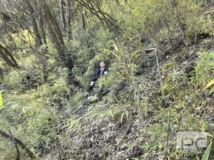 南宫ng28相信品牌力量·(中国)官方网站